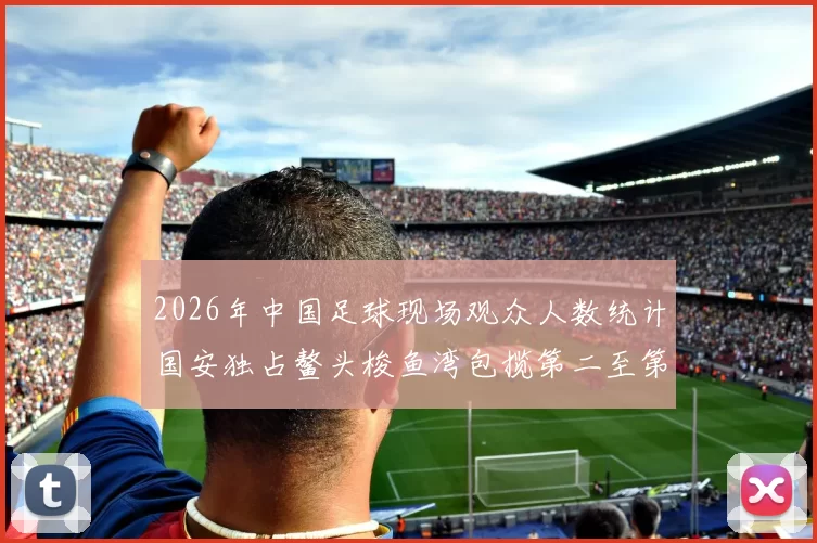 2026年中国足球现场观众人数统计国安独占鳌头梭鱼湾包揽第二至第七位